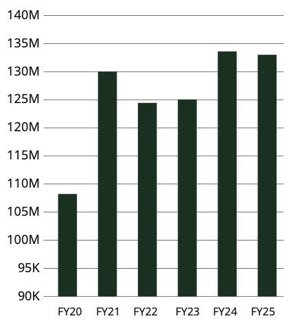A chart showing endowment assets from 2020 to 2025.