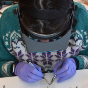 A figure bent over a white workbench wearing Optivisors and holding a dental tool and a small paintbrush to the surface of a small green rhinestone.