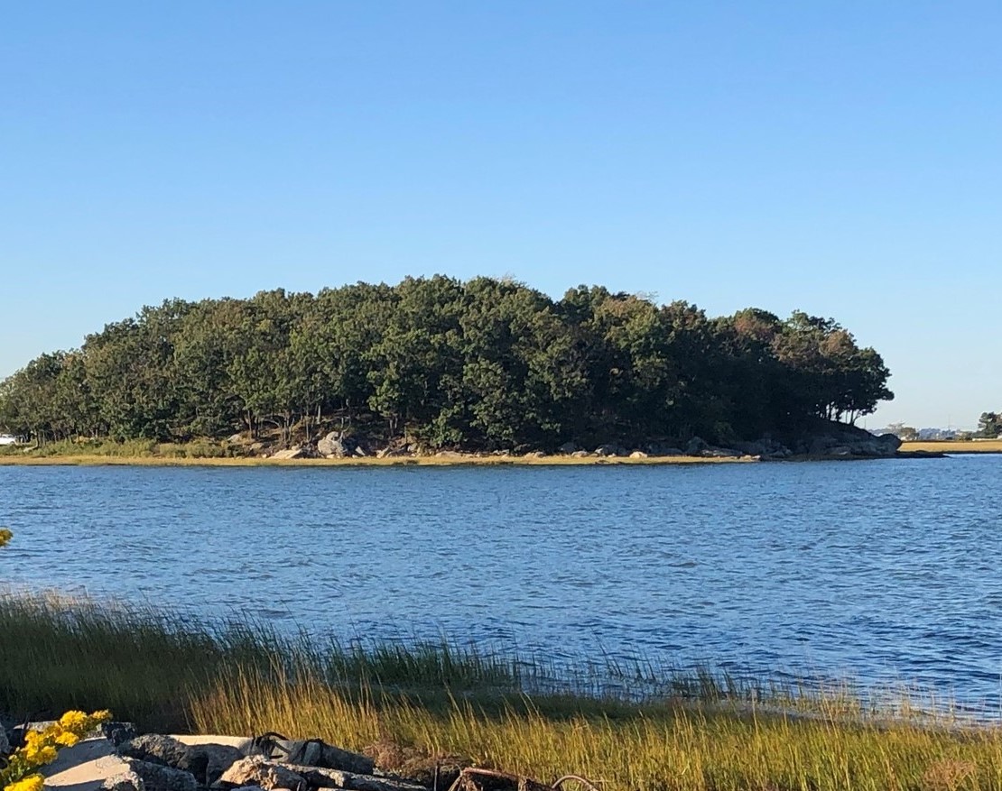 Hummock or small hill with trees in Quincy Bay. 