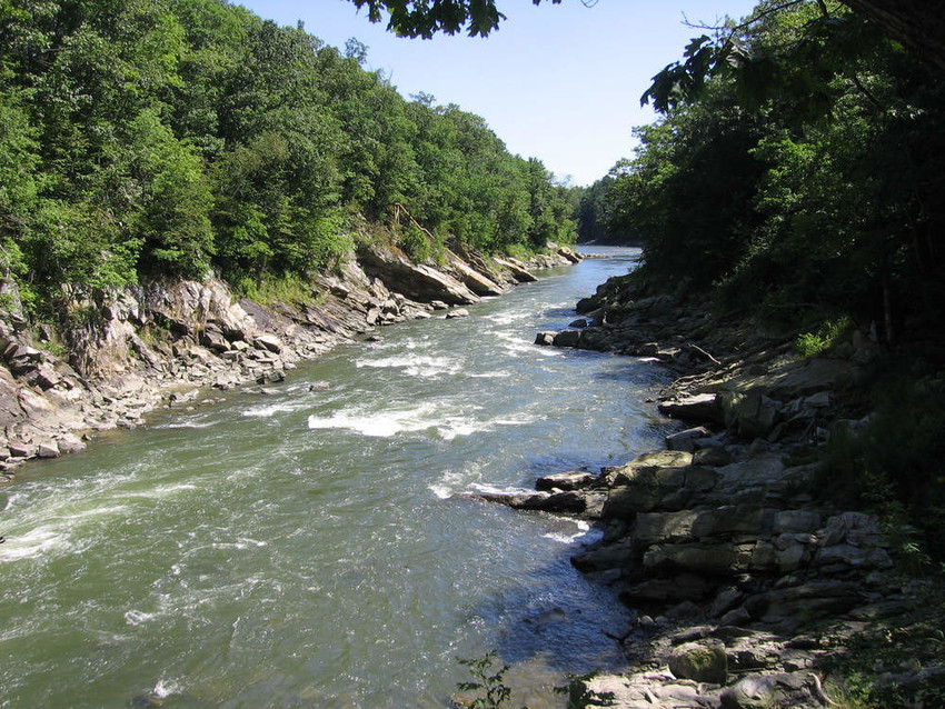 River with steep banks and trees