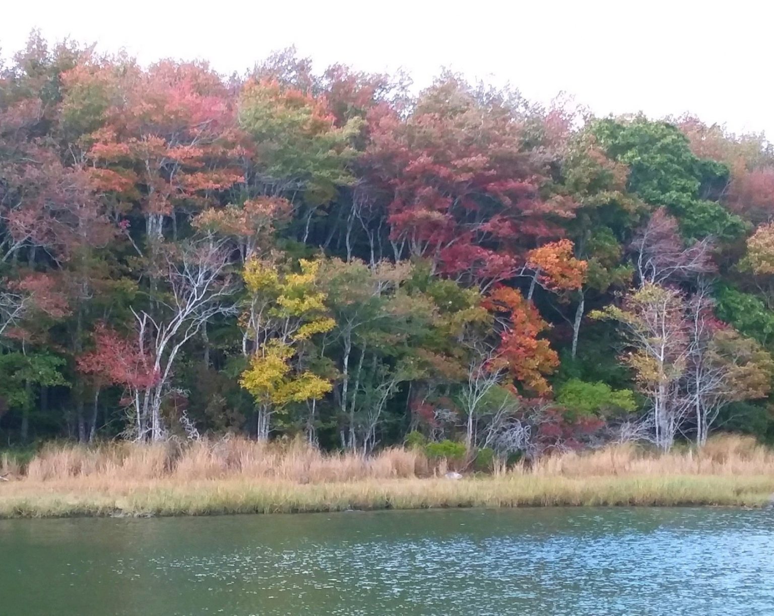 Casey Farm | Historic New England