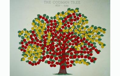 family_trees_-_395_x_253