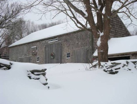winter_ecology_-_471_x_360