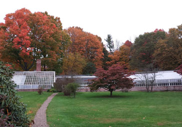 LYM 2014 Landscape conditions