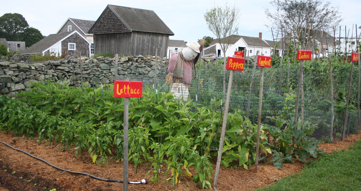 casey_farm