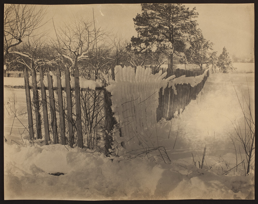 Ice melting off a fence