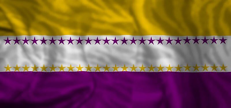 Suffrage Flag