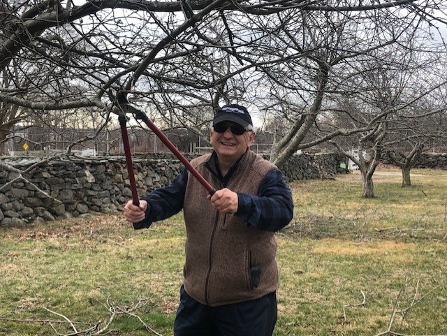 Apple pruning