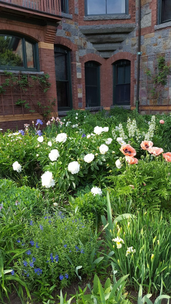 Eustis flower garden