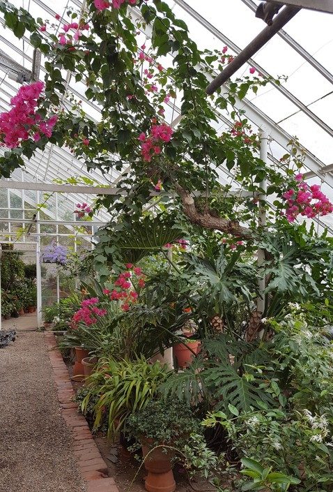 Lyman Estate Greenhouses