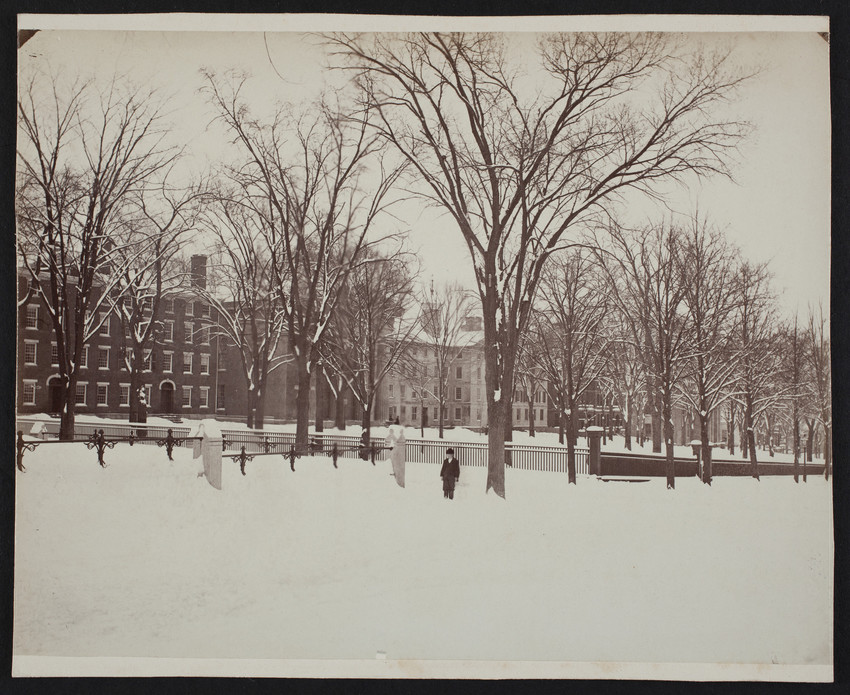 A young boy stands on a snow-covered section of what appears to be Front Green on Brown University's campus.