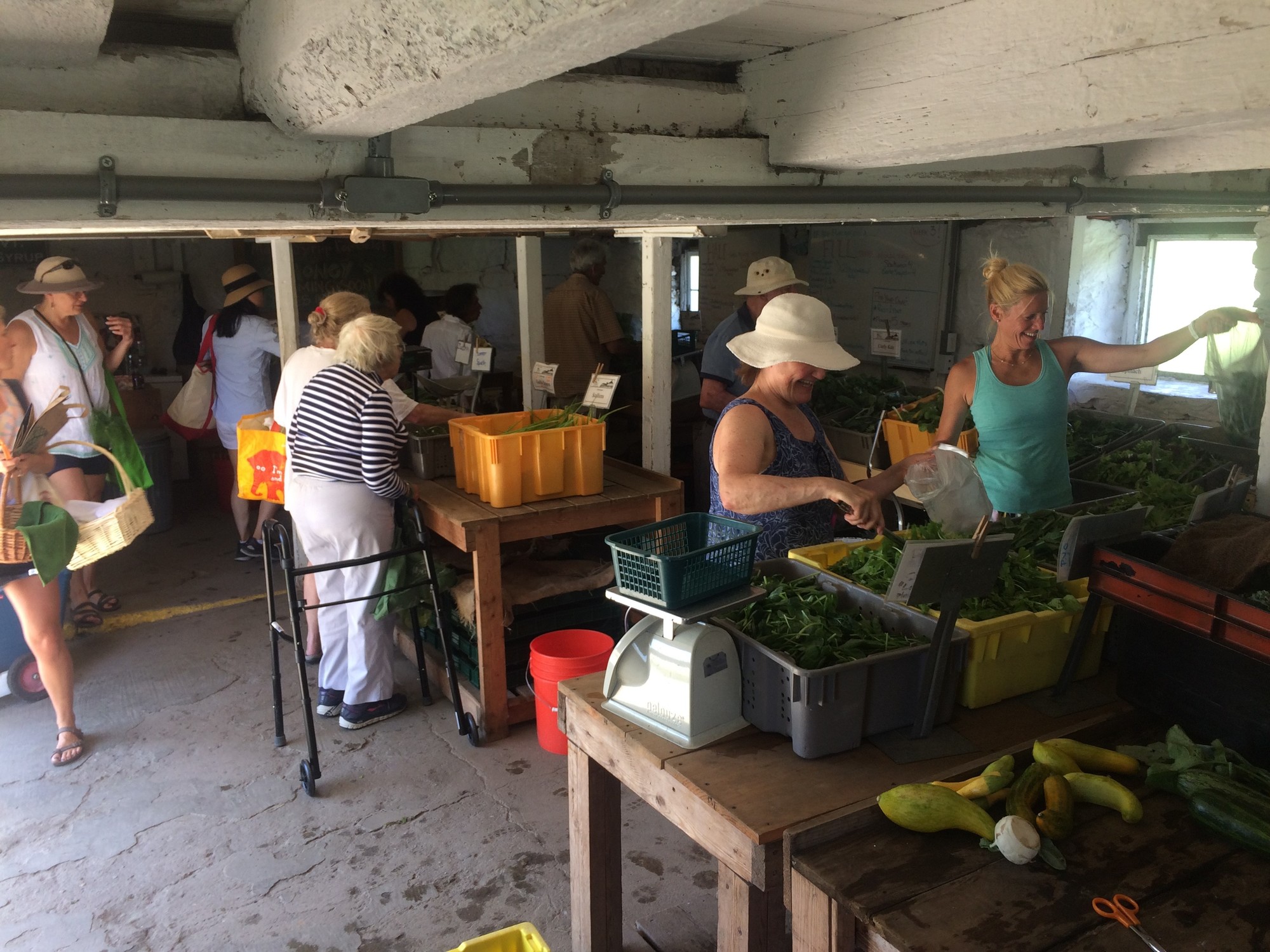 Casey Farm CSA members gather in the Casey Farm Share Barn to look at fresh produce.