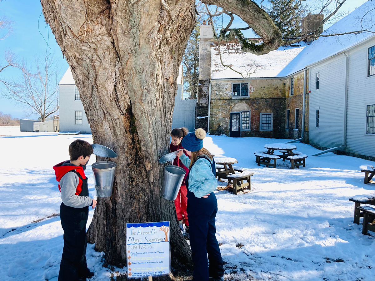 Children outsie in the snow. Checking sap buckets for maple sugaring.