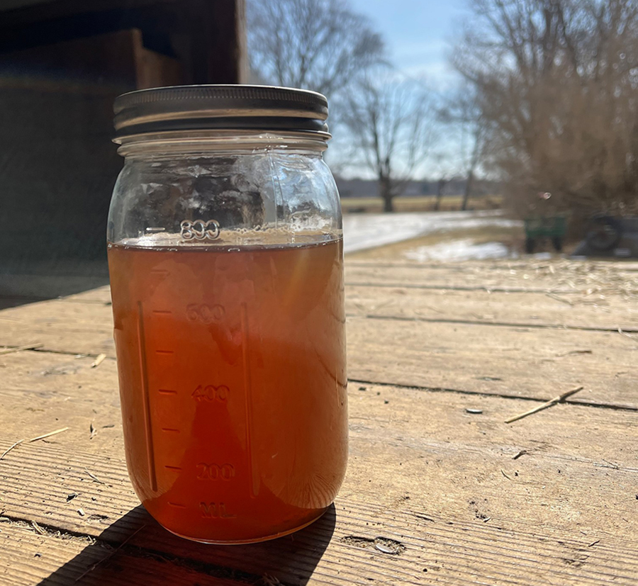 Small jar of maple syrup on outdoor picnic table