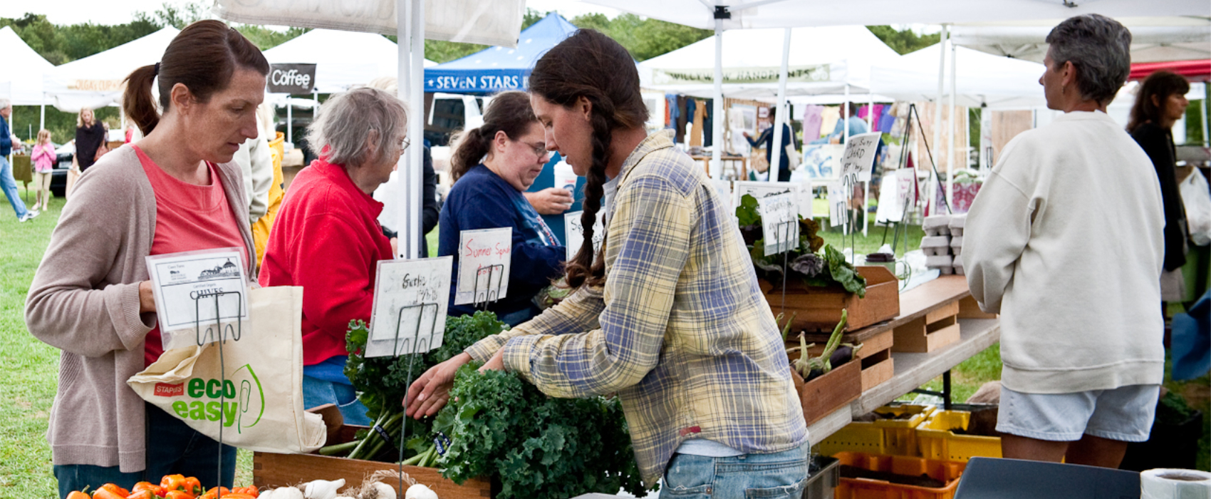 Casey Farm Market | Historic New England