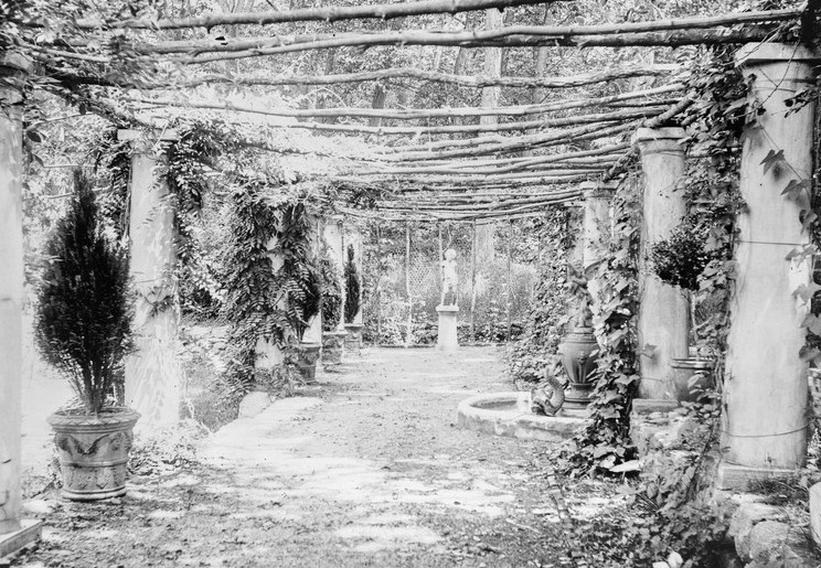 black and white photo of a arbor with wisteria