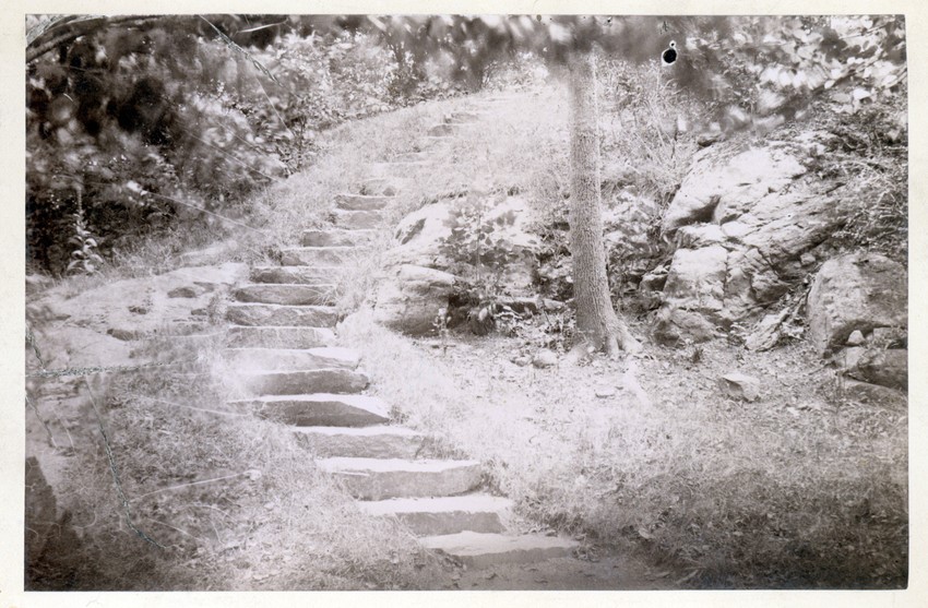 black and white historic photo with stairs in the landscape