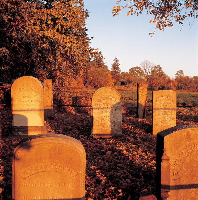 Cemetery with raking light in autumn