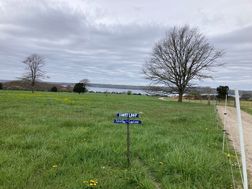 Field with signage for "short loop"