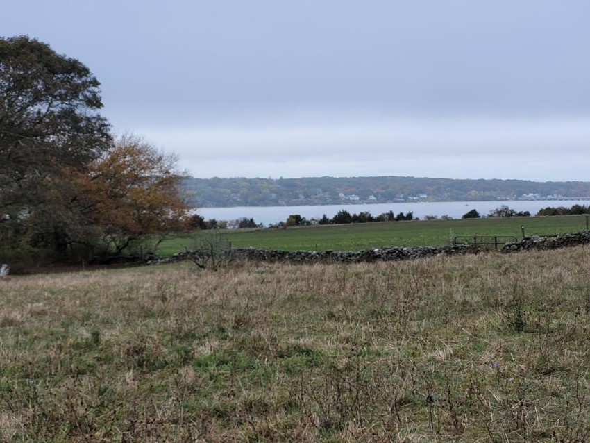 View looking over field to the bay