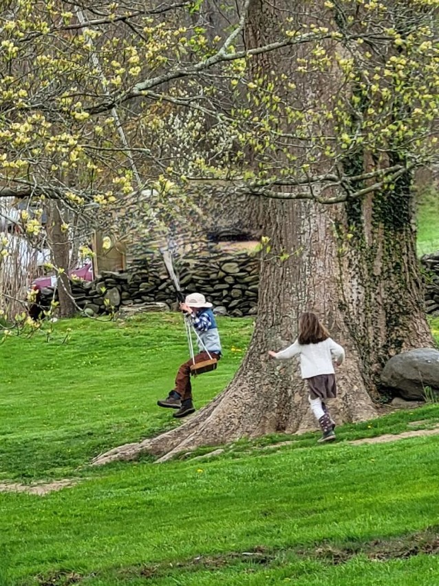 Two children playing on lawn, child swinging from a large tree swing on lawn at Watson Farm