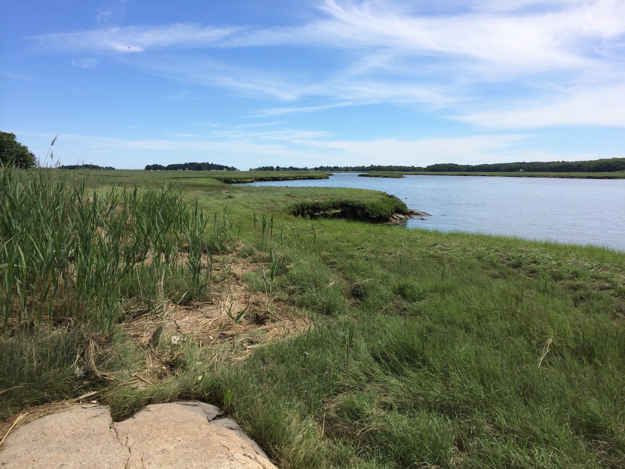 Banks of salt marsh along river