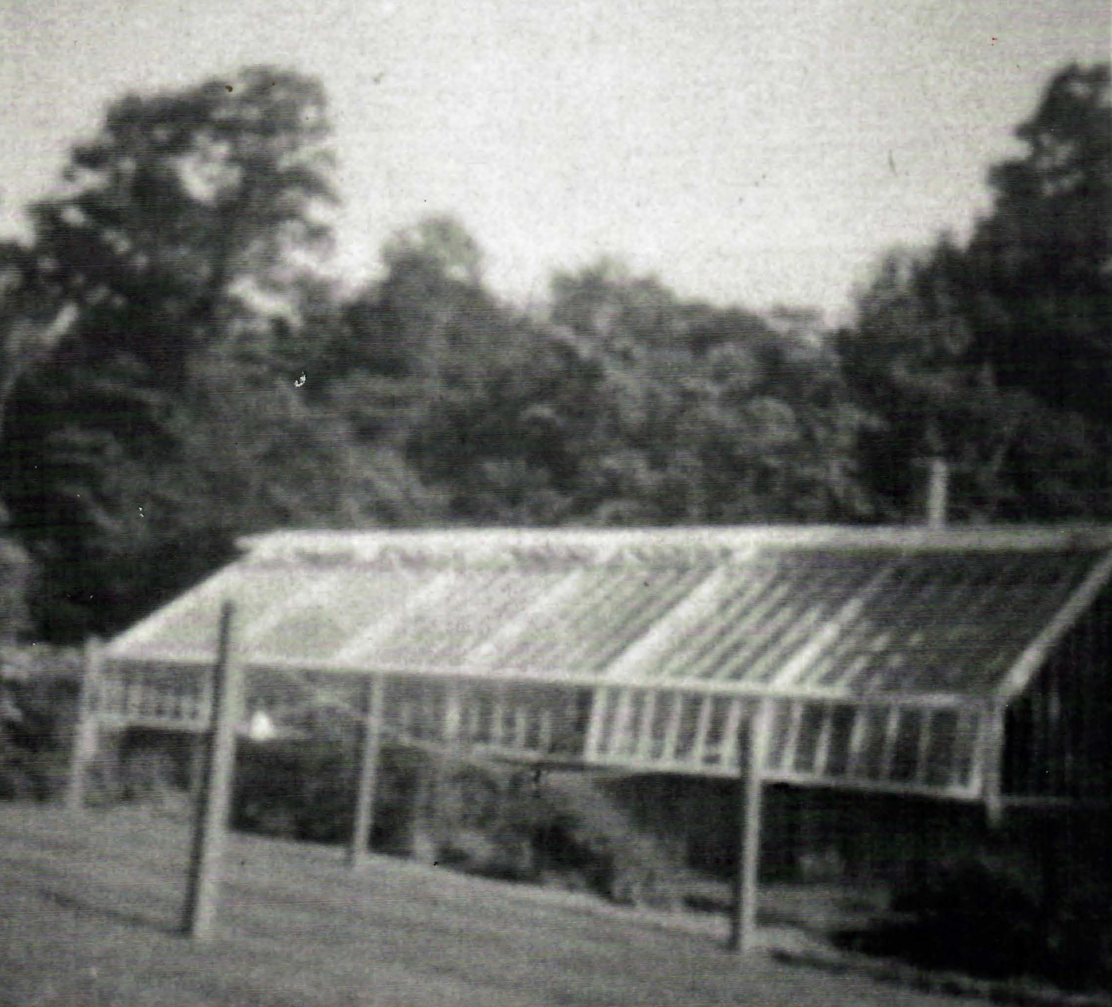 Black and white photo of a greenhouse with laundry drying racks in foreground.