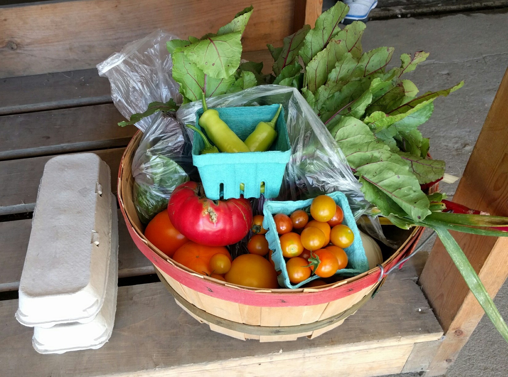 Summer vegetables and egg share from Casey Farm CSA