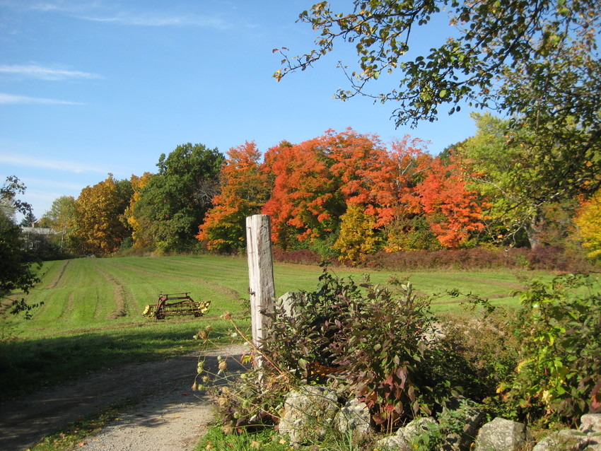 View of farm fields with Autumn trees in distance