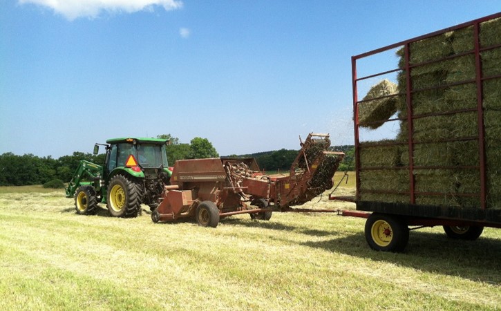 Tractor with hay baler pitching bales into a wagon at Cogswell's Grant.