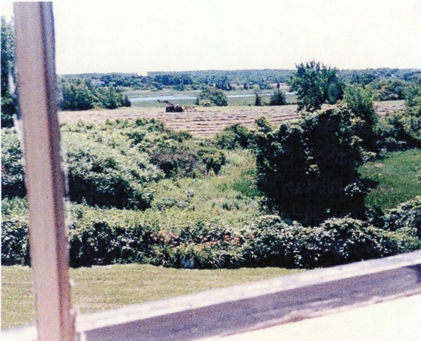 Island Field being cut for hay in 1986
