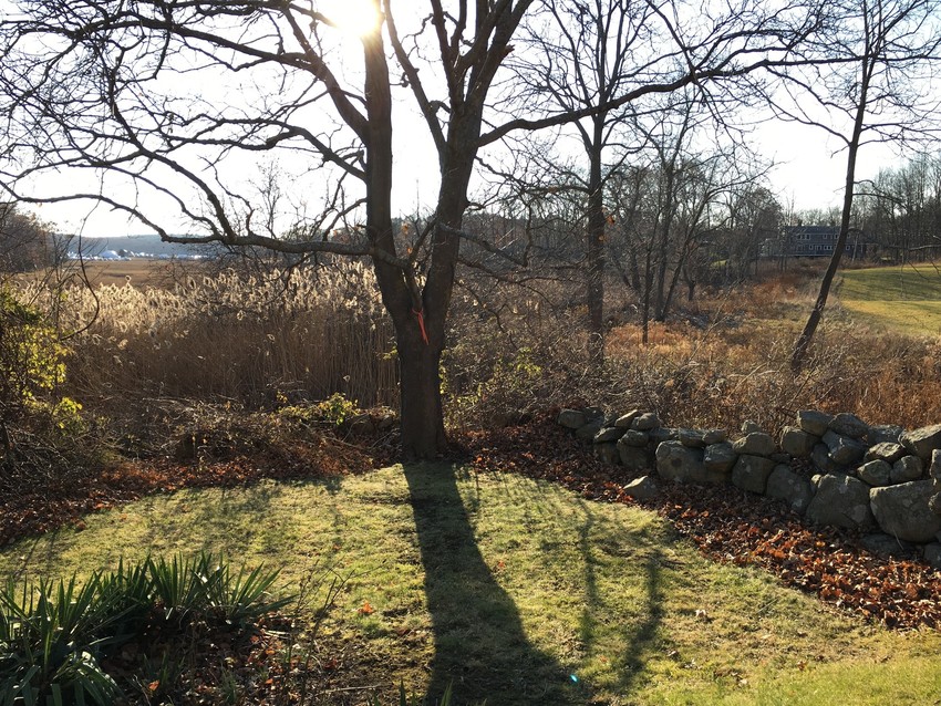 View from front terrace of Goswell's Grant overlooking old mill dam