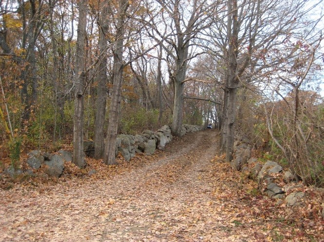 Alley of trees along an old path in fall