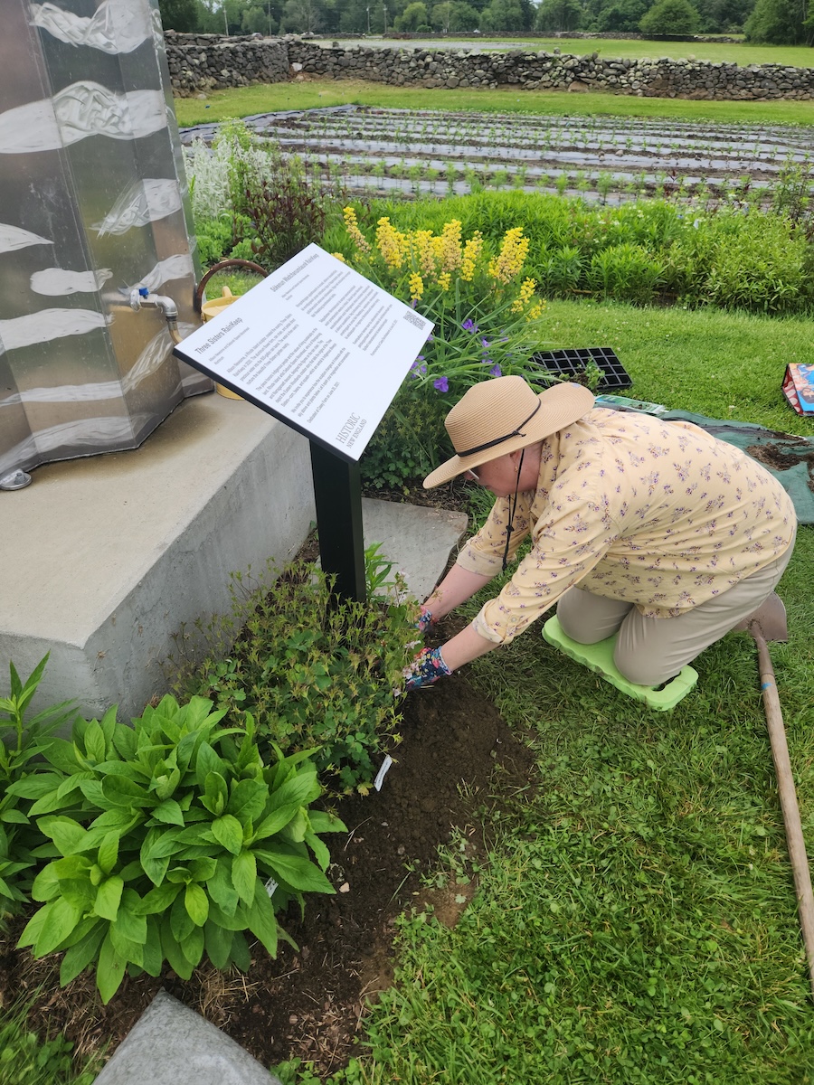 Outdoor scene at a farm. A person kneels in the foreground, planting flowers around a signpost.