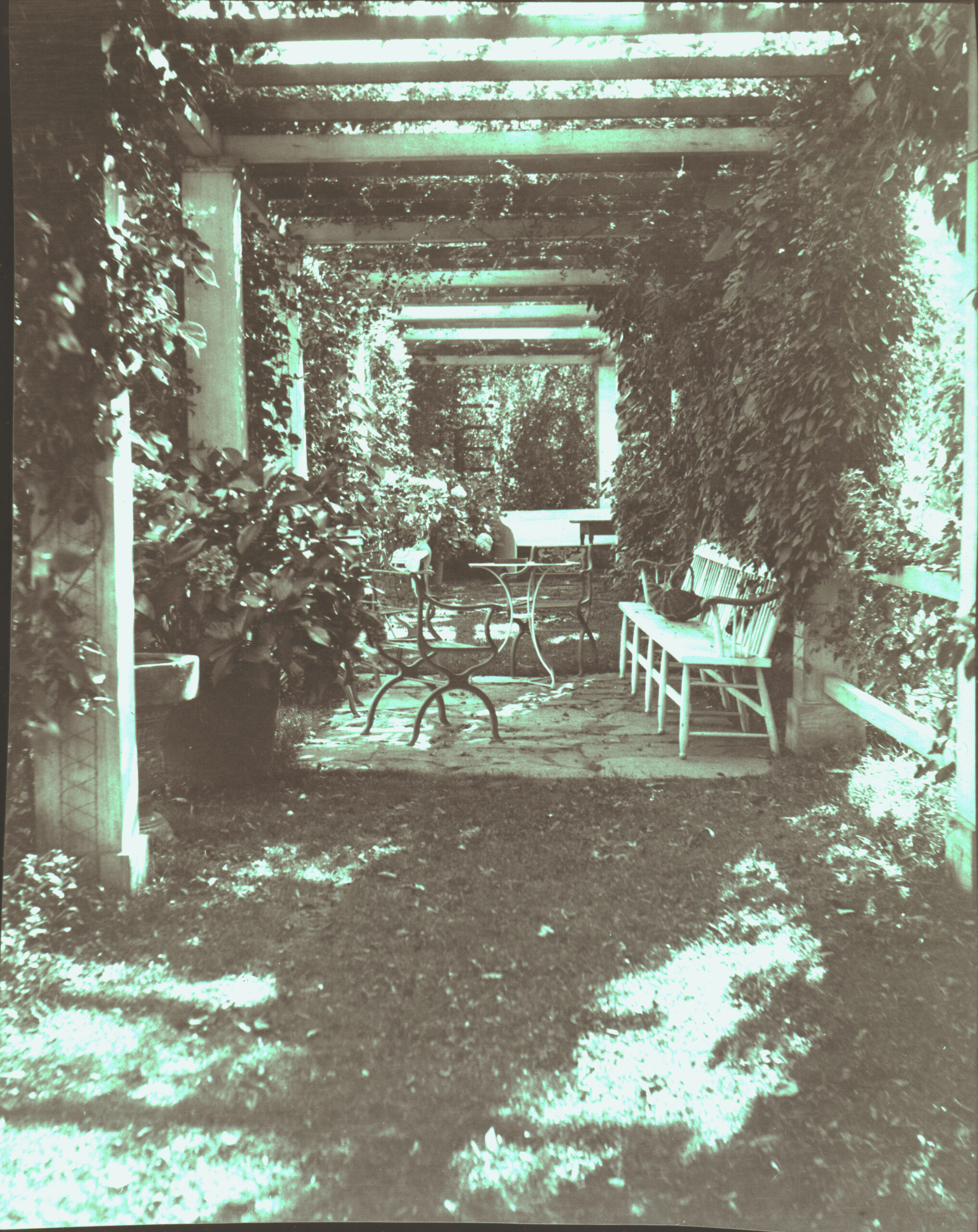 An outdoor garden pergola with climbing plants, sunlight, a metal table, and a wooden bench.