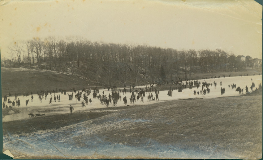 A large group of people skate on a frozen pond, which is surrounded by trees.