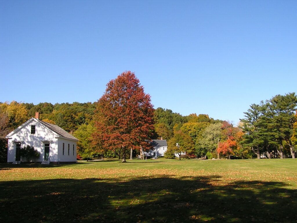 White building and autumn trees on a sunny day with a clear blue sky.