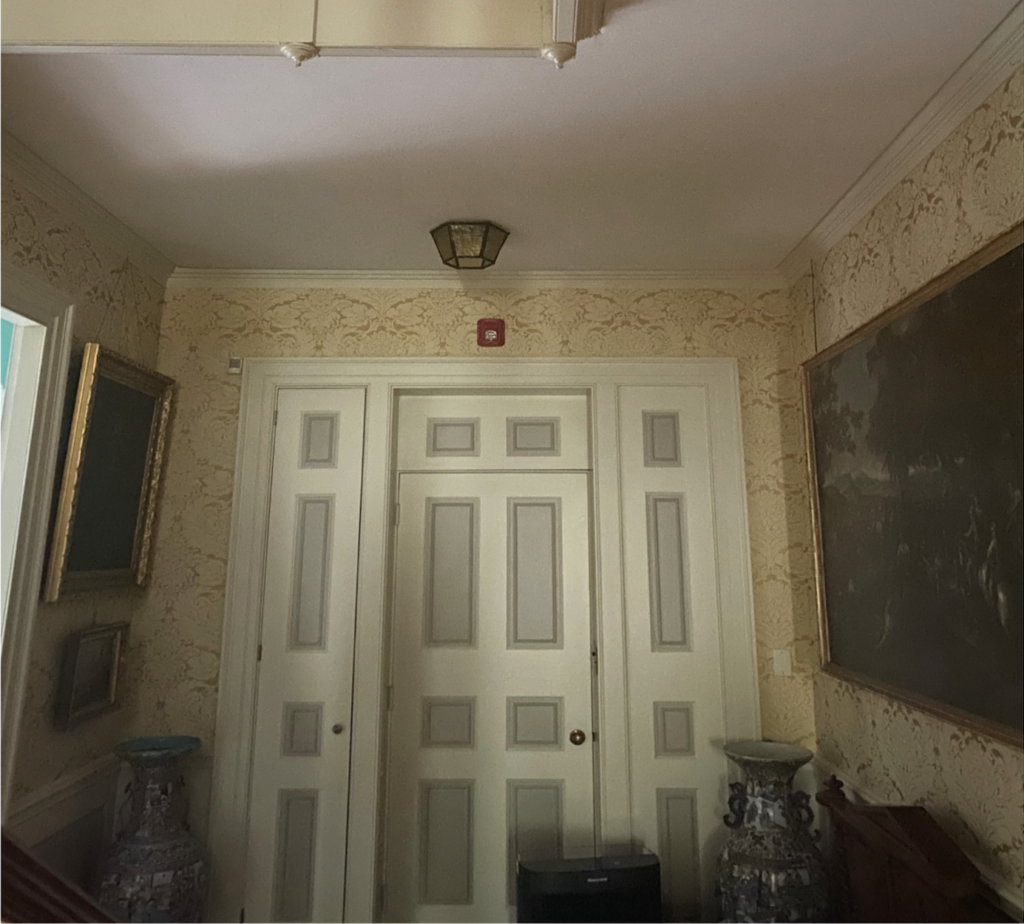 A picture of an ornate door surrounded by paintings, vases, and detailed wallpaper. Easily missed but important to this picture are the strobe and motion sensors.
