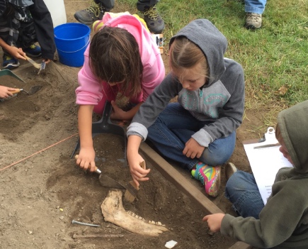 Unearthing Delights