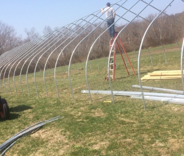 High Tunnel Sheds More Light on Produce Growing