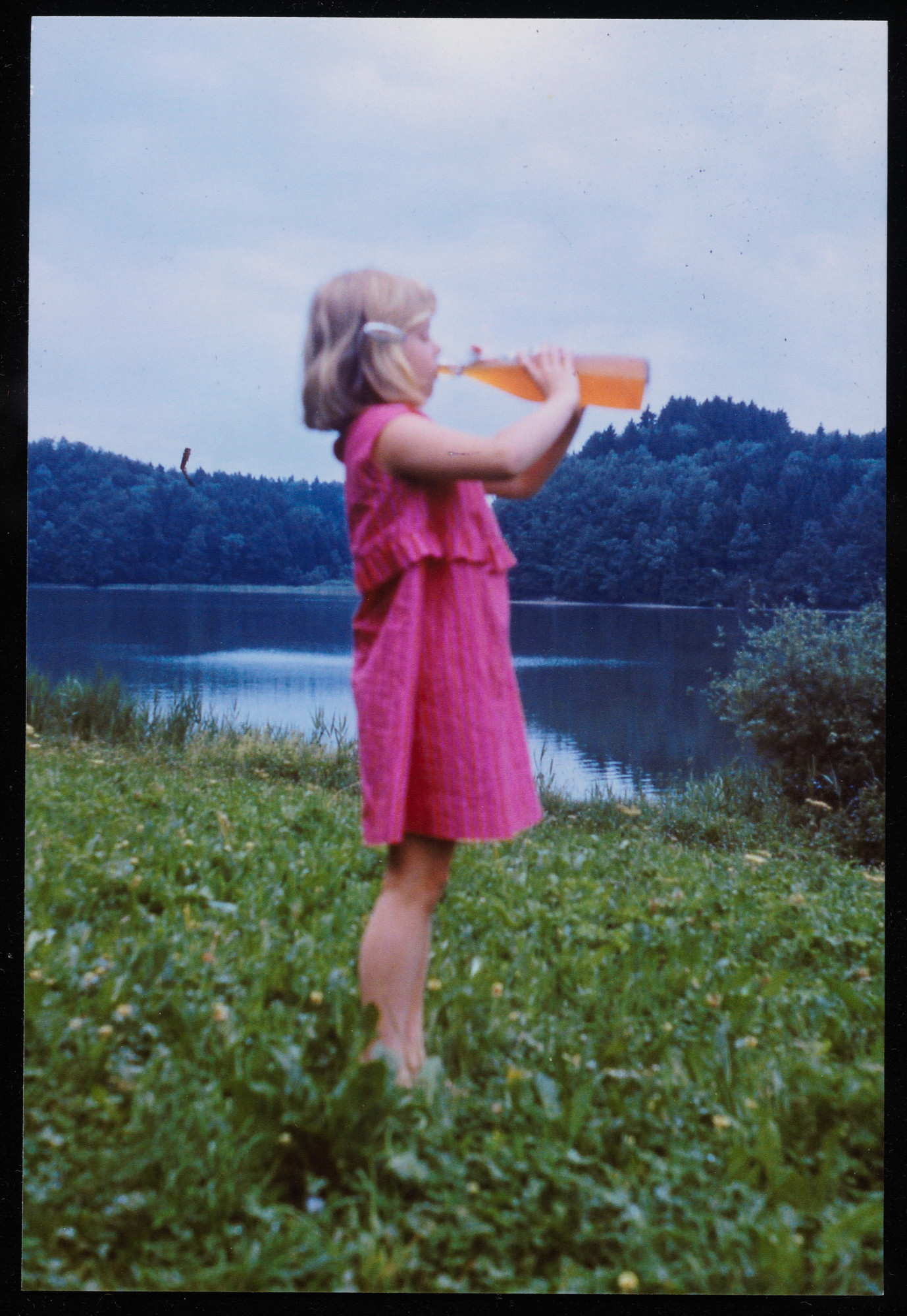 A Bold Affair with Marimekko