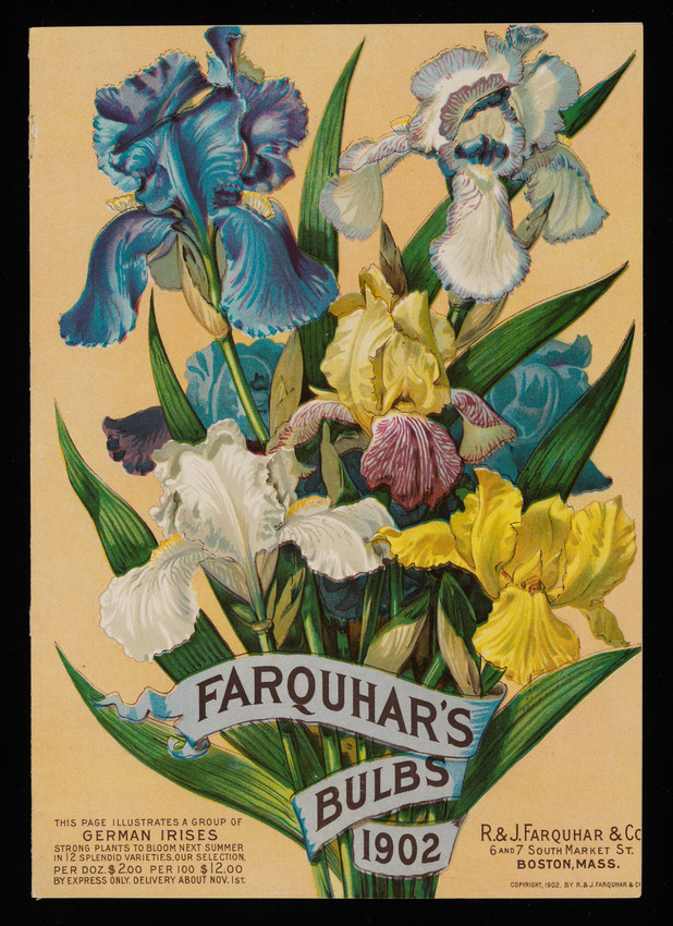 Garden Delights