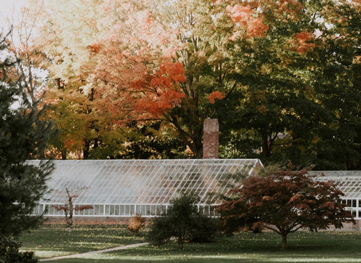 How the Lyman Estate Became a Hotbed of Growth