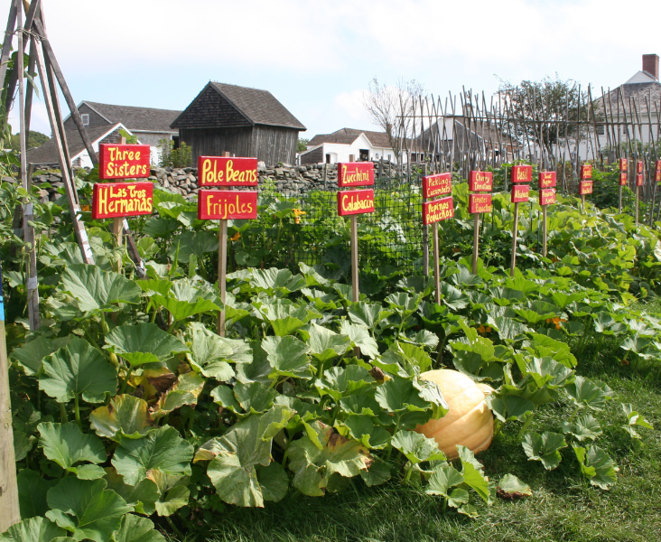 casey_farm