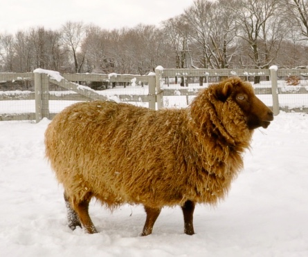 The Farms of Historic New England