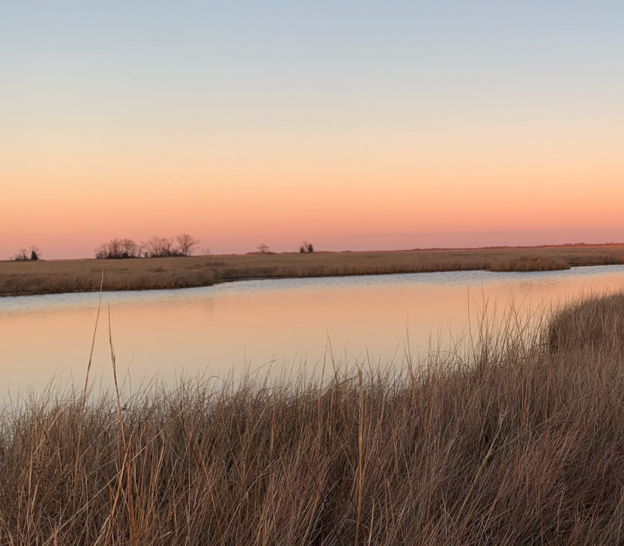 Stories Hidden in the Salt Marshes