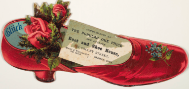 From the Collections