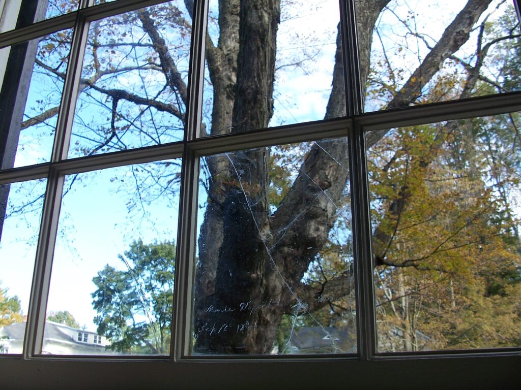 View through a window with a tree trunk and autumn foliage outside with text etched in glass.