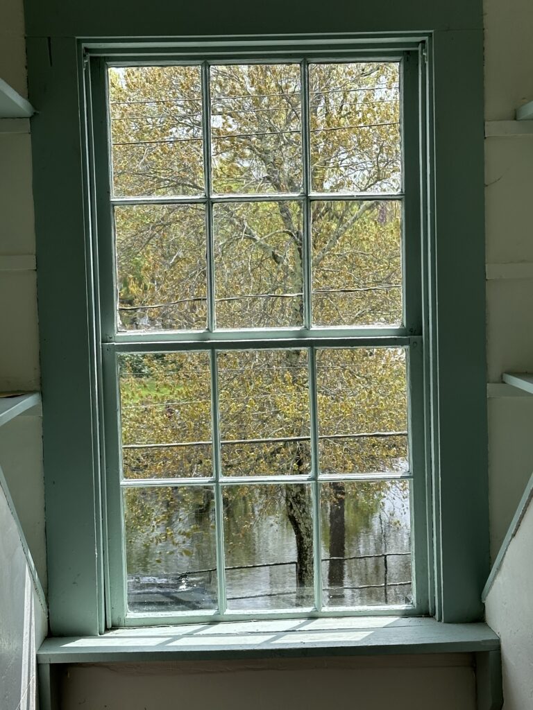 View through a multi-paned window showing a tree with yellow leaves and a body of water in the background.