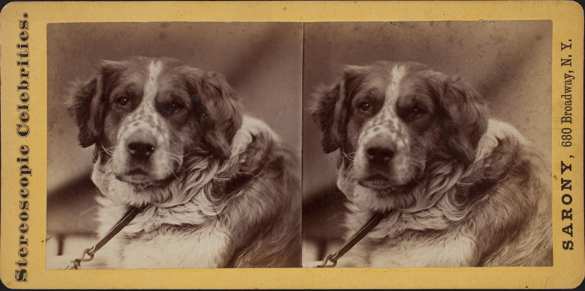 Stereoscopes and Stereo Views